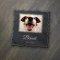 Custom pet photo keepsake: a smiling dog's photo printed in full color on an 8x8 slate panel with the sample name Biscuit and dates (product mockup)