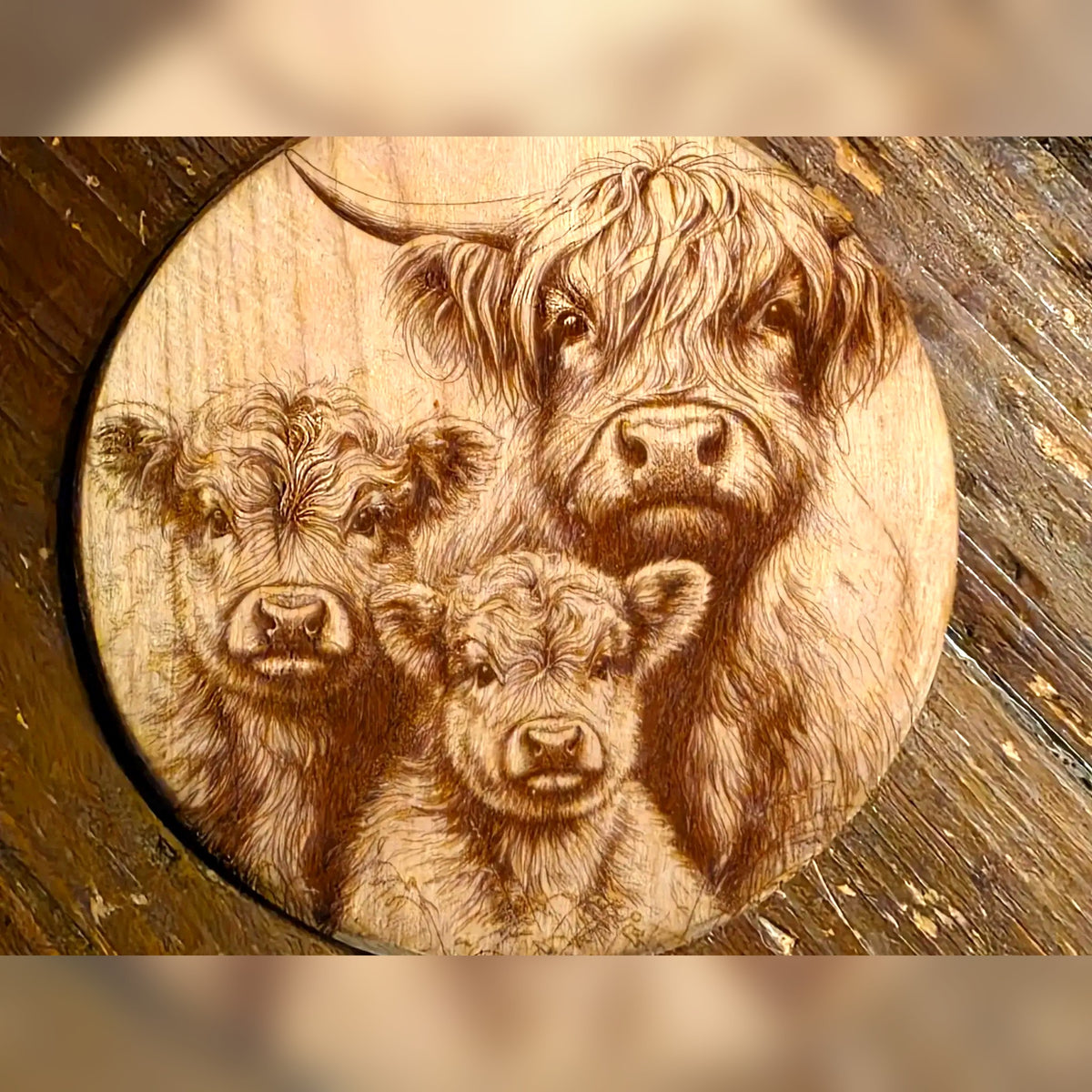 Highland cow family, a mama and two calves, engraved on the designer's round wood sample (artwork preview)