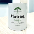 Close-up of a white glossy mug printed "Thriving in bright INDIRECT LIGHT" in charcoal and leaf green under a small sprout.
