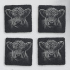 Set of 4 square slate coasters laser engraved with a highland cow calf portrait (product mockup)