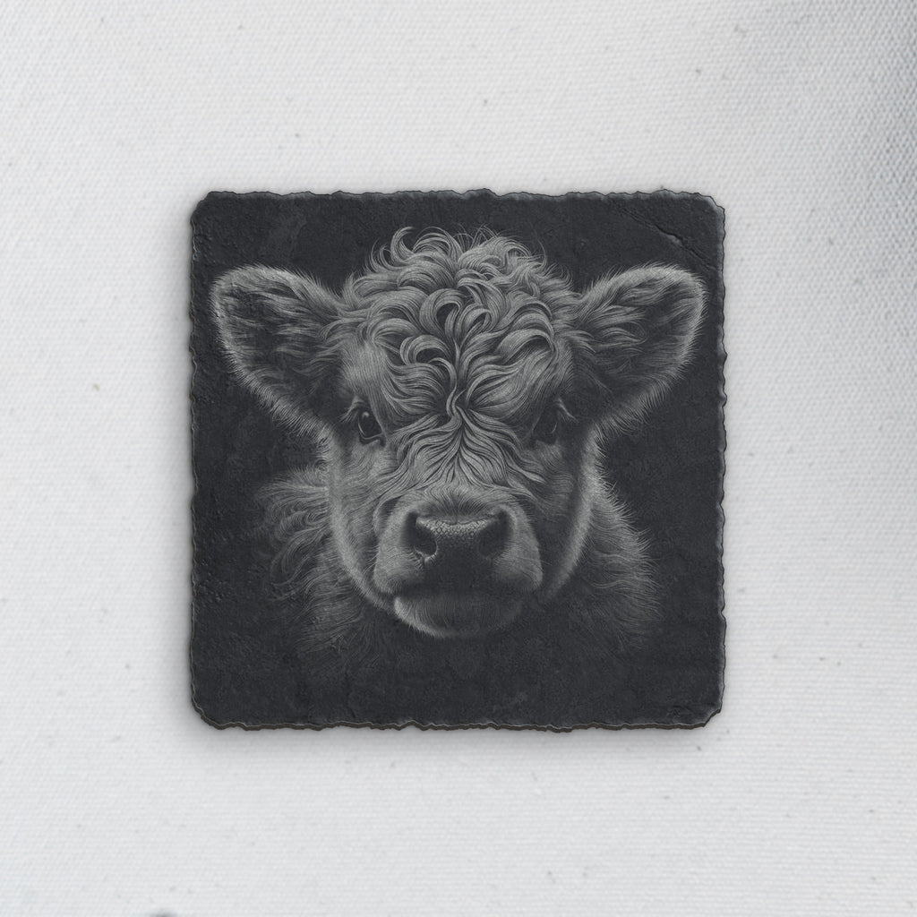 Square slate coaster engraved with a highland cow portrait, every curl of fur in pale gray (product mockup)