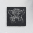 Square slate coaster engraved with a highland cow portrait, every curl of fur in pale gray (product mockup)