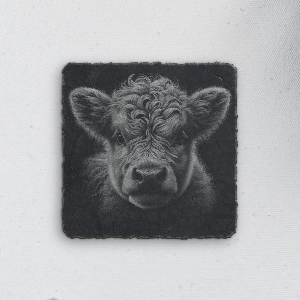 Square slate coaster engraved with a highland cow portrait, every curl of fur in pale gray (product mockup)