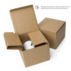 White glossy 11oz mug, front view, with the "Thriving in bright indirect light" sprout design.
